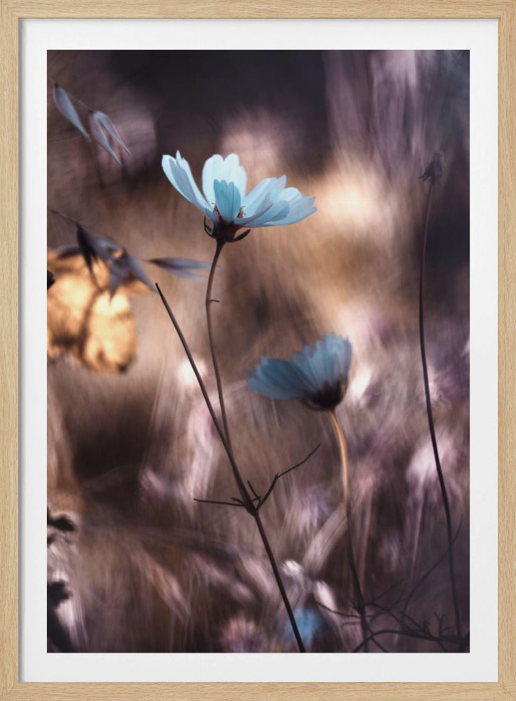 Herbststimmung | Poster