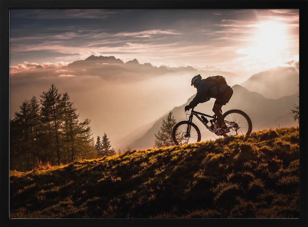 Radfahren in der goldenen Stunde | Poster