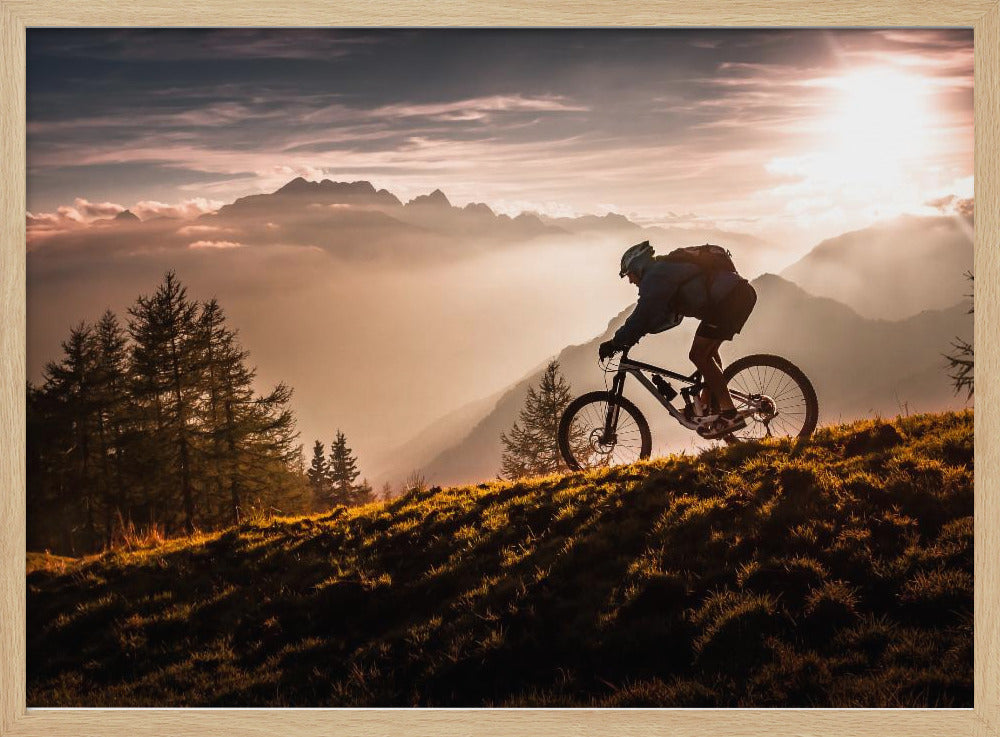 Radfahren in der goldenen Stunde | Poster