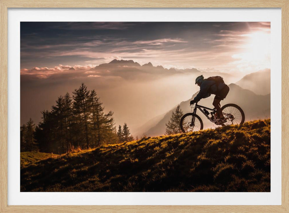 Radfahren in der goldenen Stunde | Poster