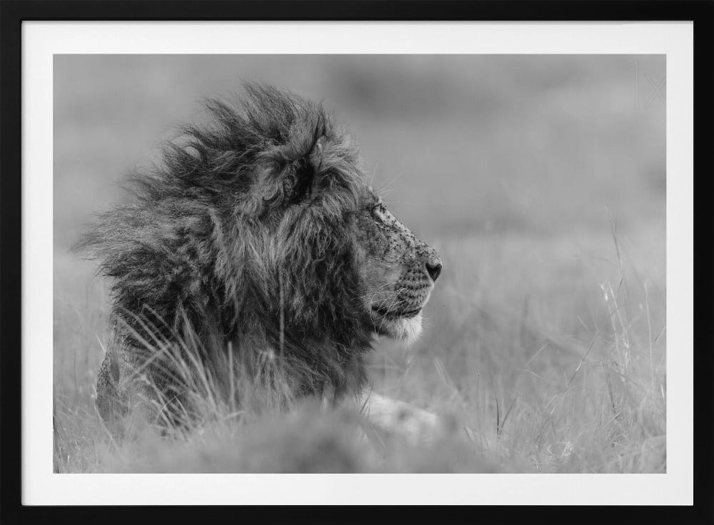 Der König ist allein | Poster