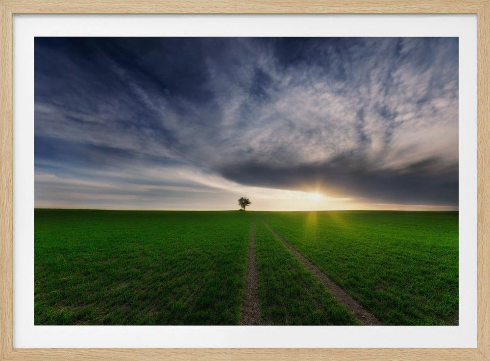 Einzelgänger in der Sonne | Poster