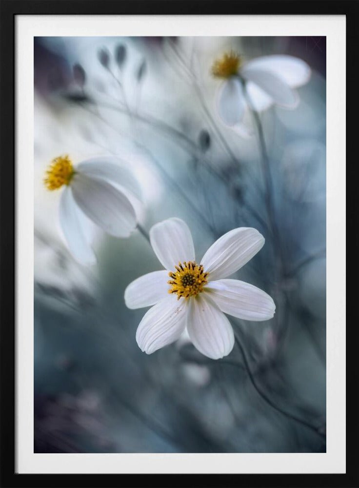 Cosmos | Poster