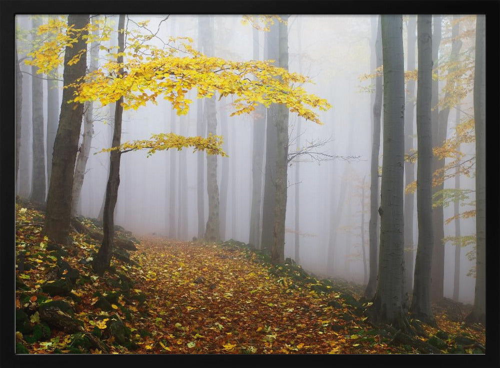 Ohne Titel | Poster