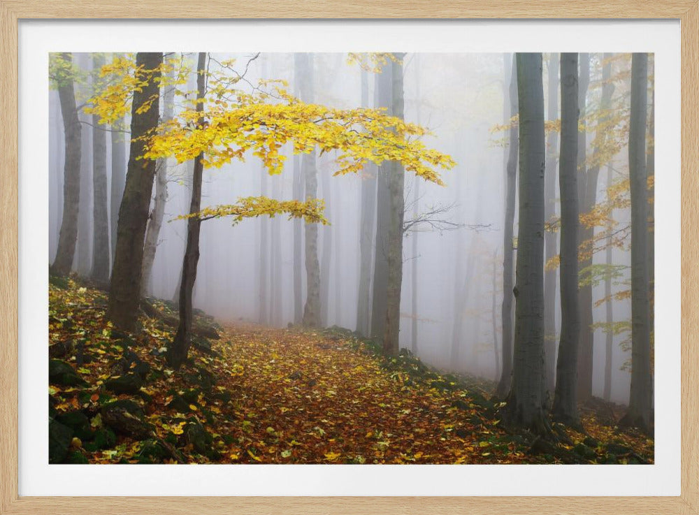 Ohne Titel | Poster