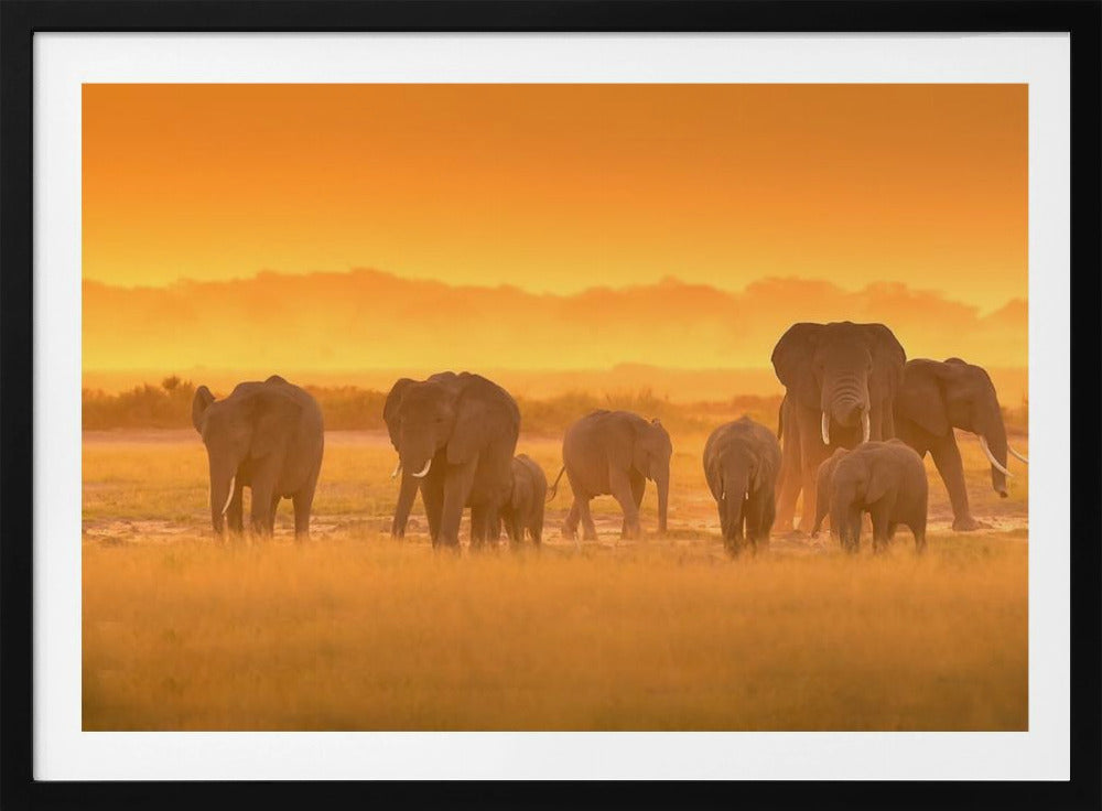 Goldenes Licht | Poster