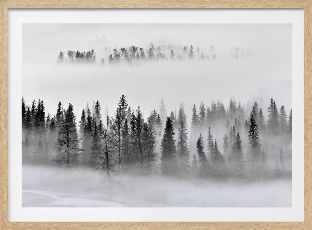 Nebliger Wald | Poster