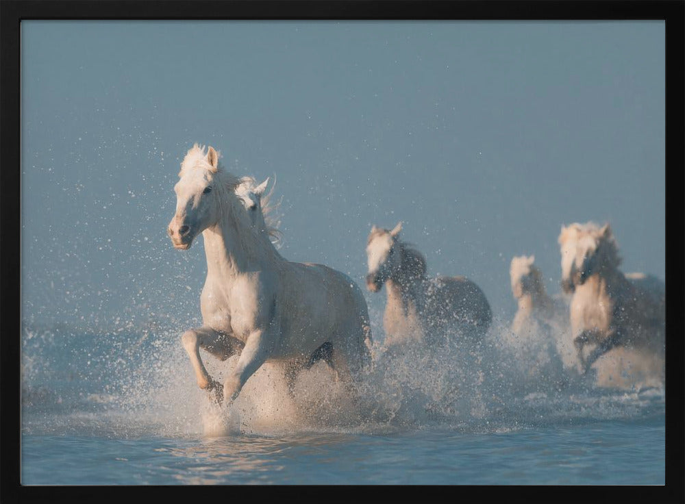 Engel der Camargue | Poster