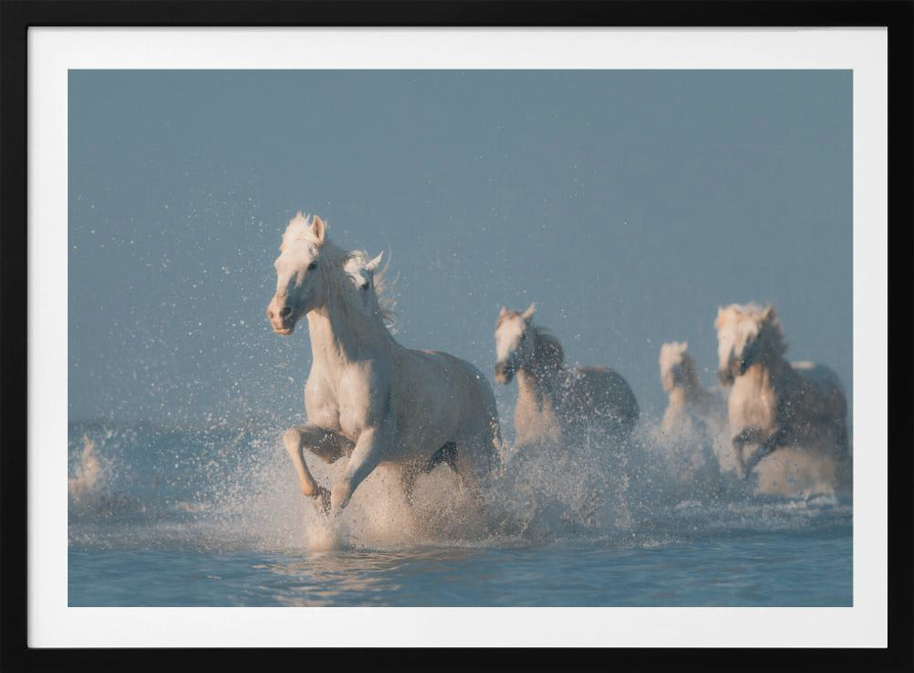 Engel der Camargue | Poster