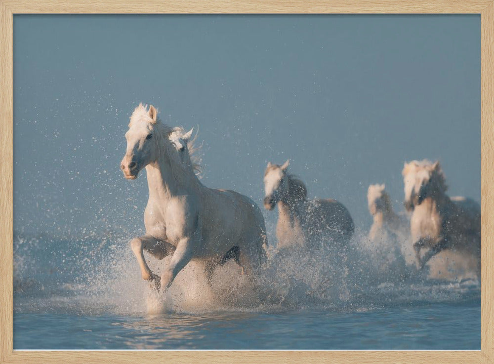 Engel der Camargue | Poster