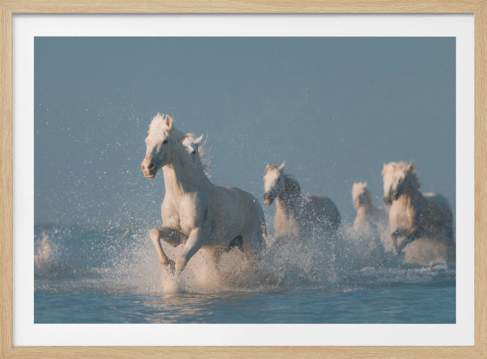 Engel der Camargue | Poster