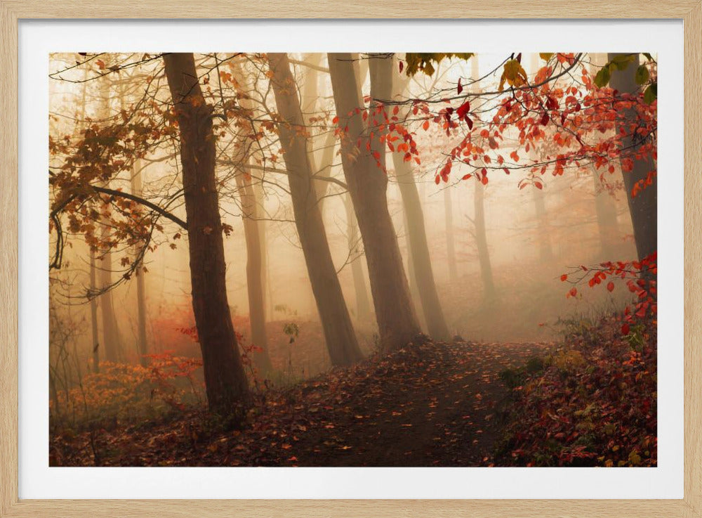 Dem Licht entgegen. | Poster