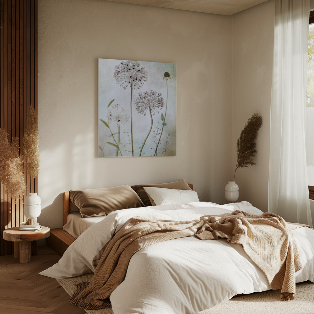 Allium | Canvas