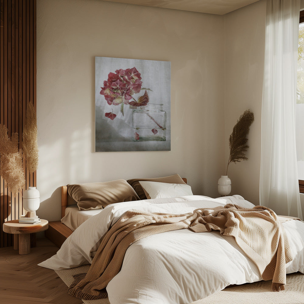 Hortensie | Leinwand