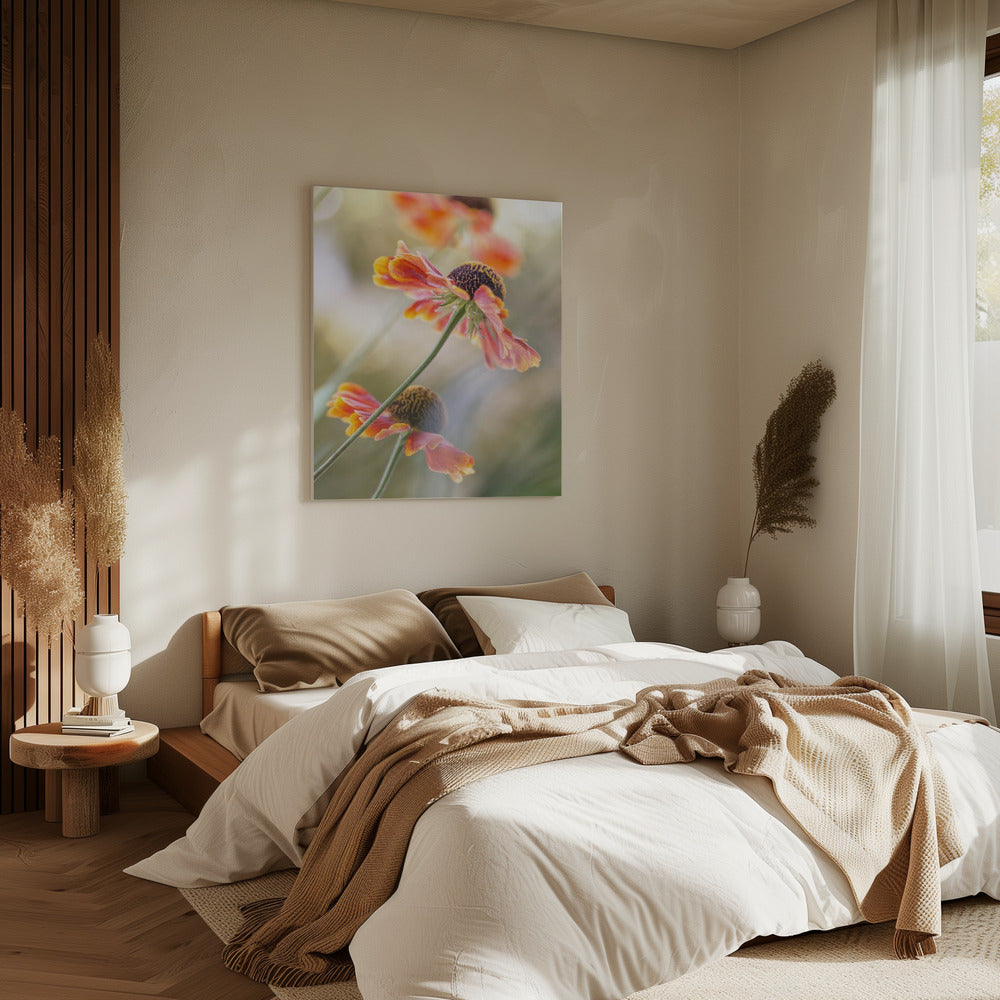 Helenium* | Leinwand