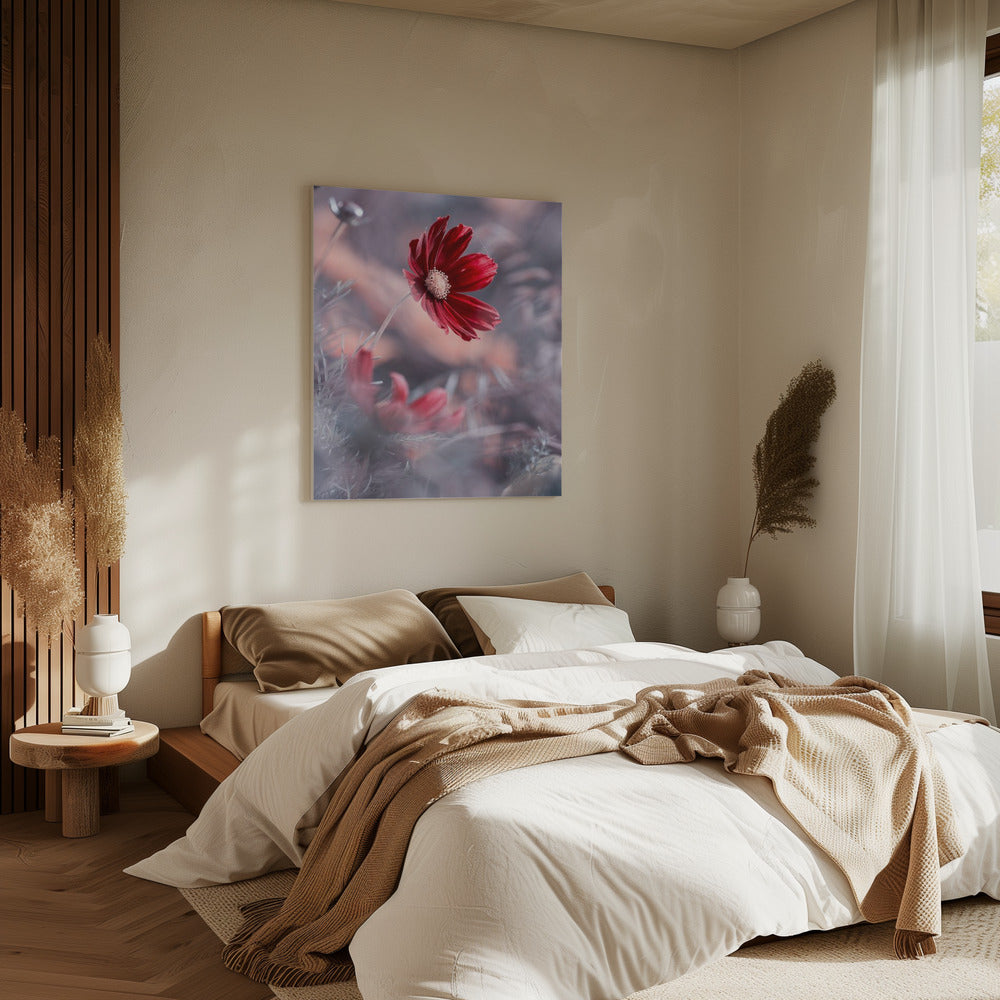 Carmen II | Leinwand
