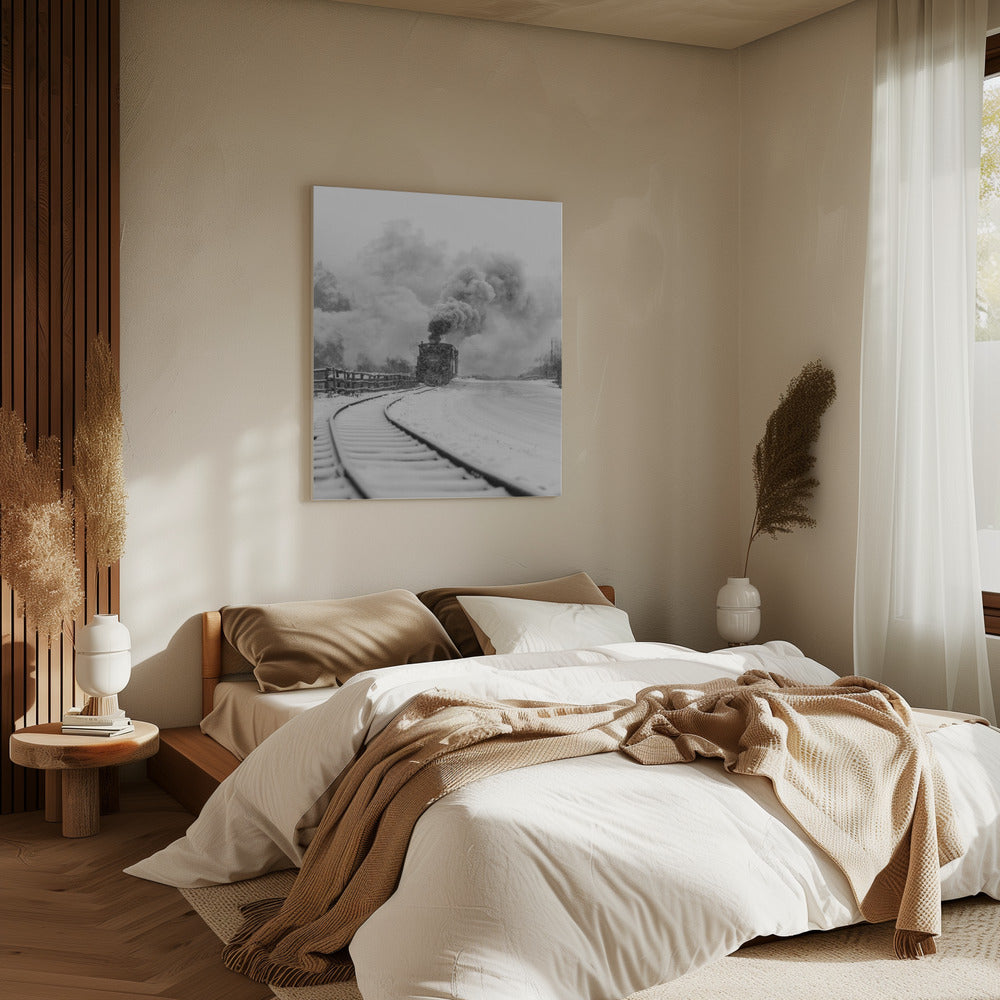 Mocanita Hutulca | Leinwand