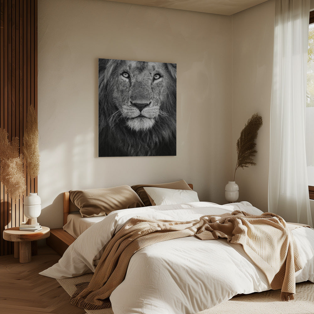 Royal portrait | Canvas