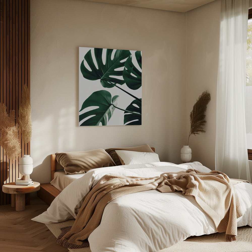 Monstera Natur 43 | Leinwand
