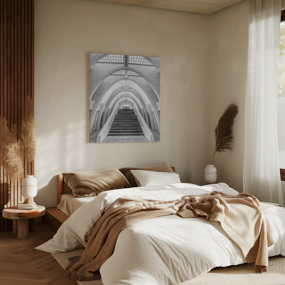 Calatrava Linien | Leinwand