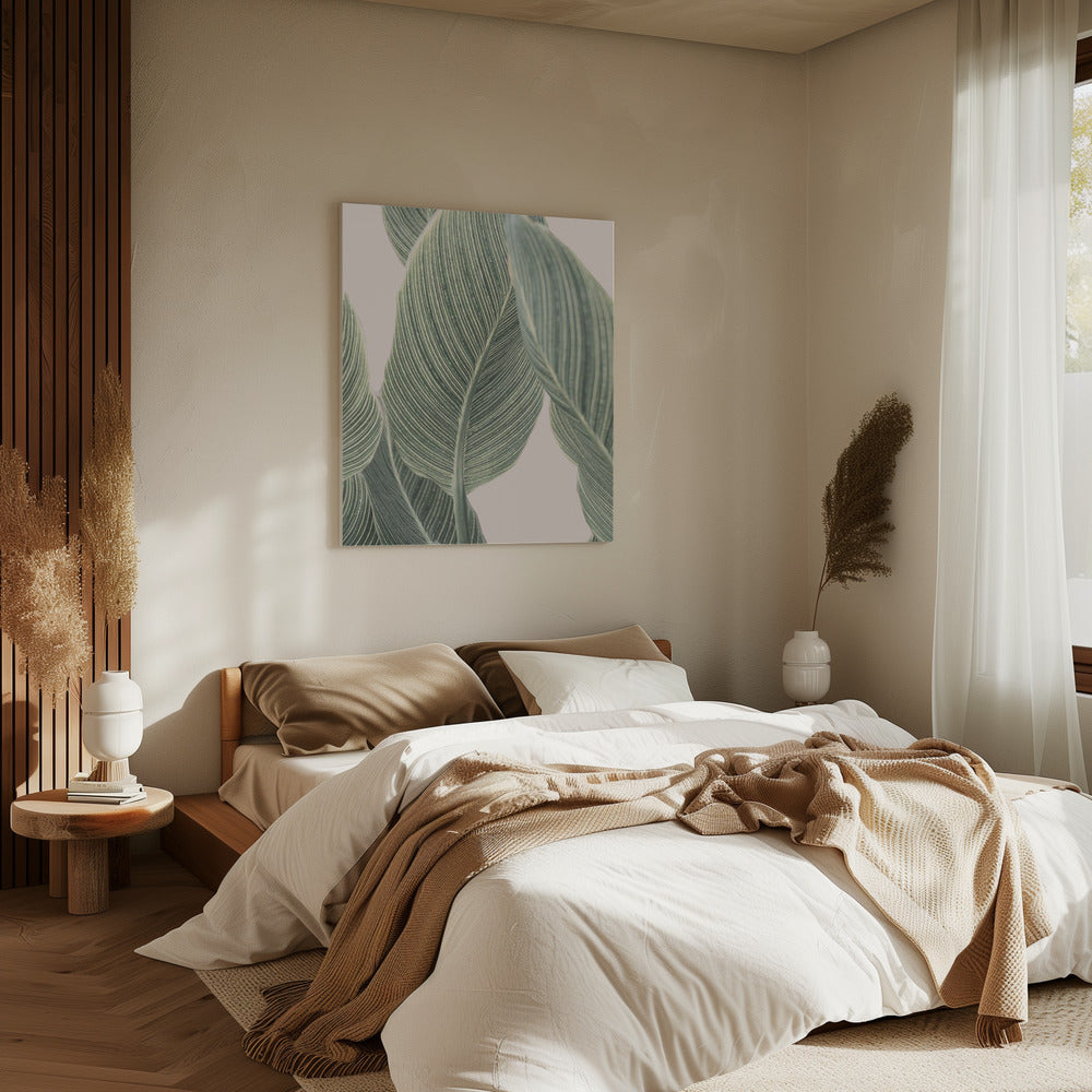 Calla-Blatt | Leinwand