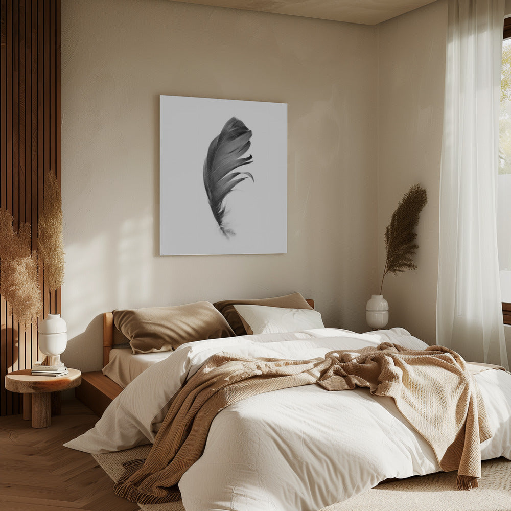 Feder | Leinwand