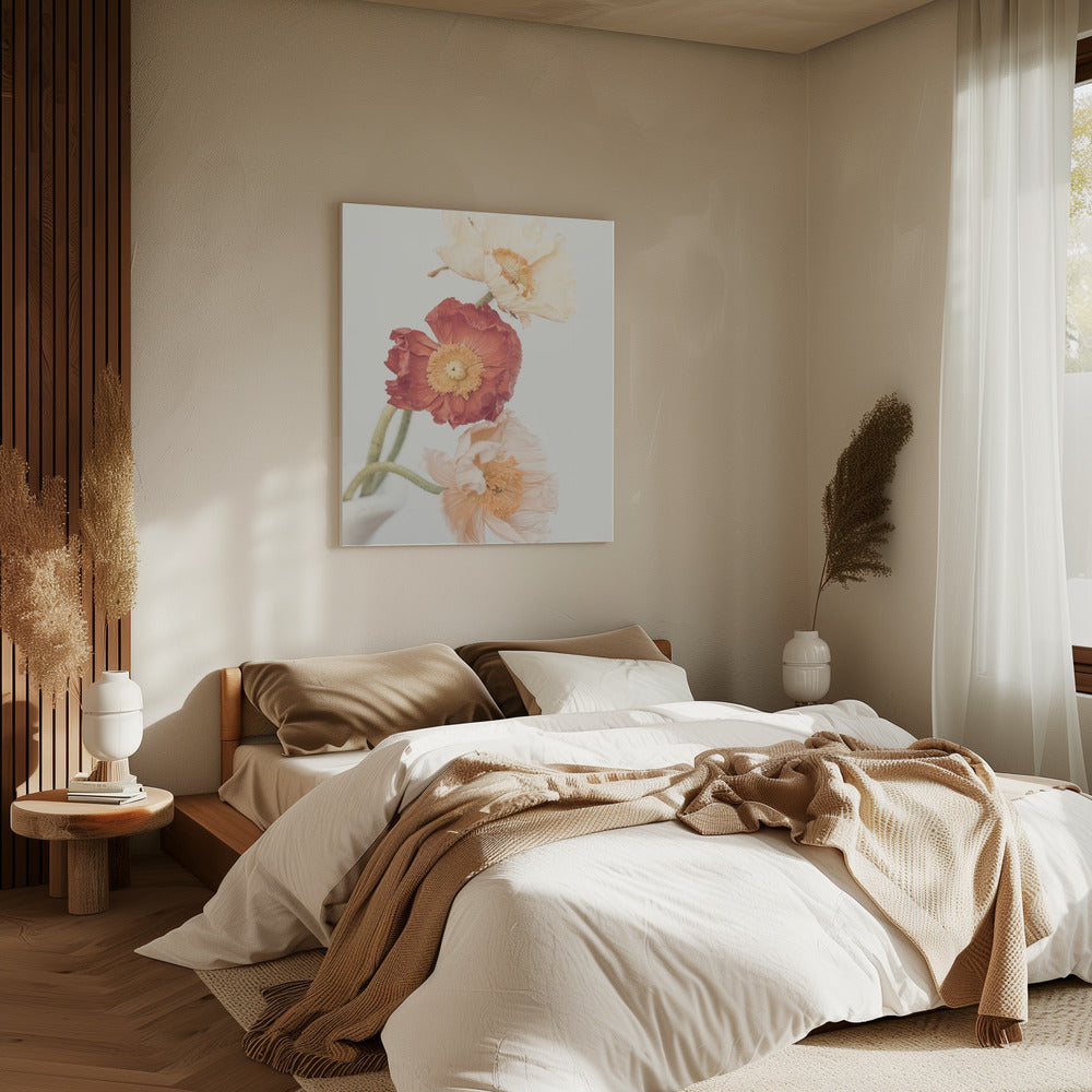 Mohnblumen | Leinwand