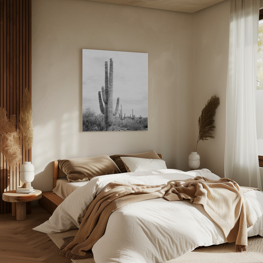Saguaro S/W | Leinwand