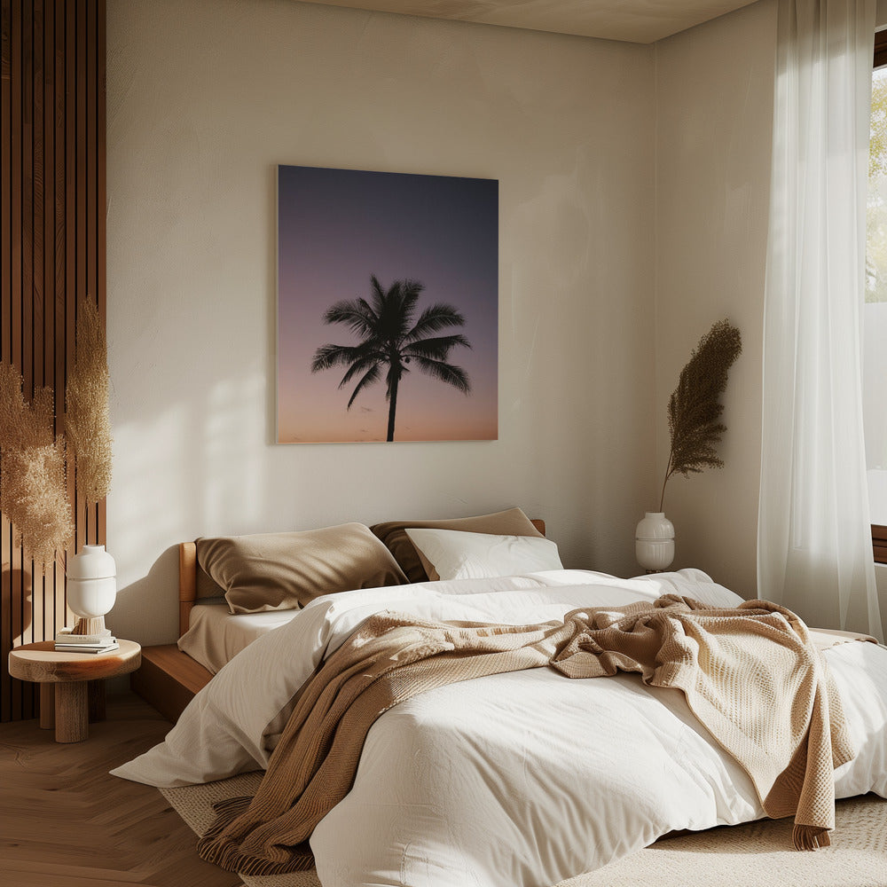 Costa Rica Palme | Leinwand