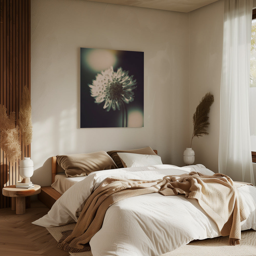 Ätherische Blüte | Leinwand