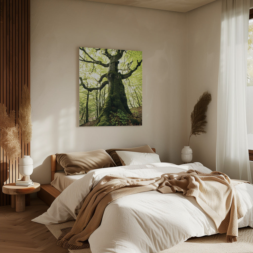 Ent | Leinwand