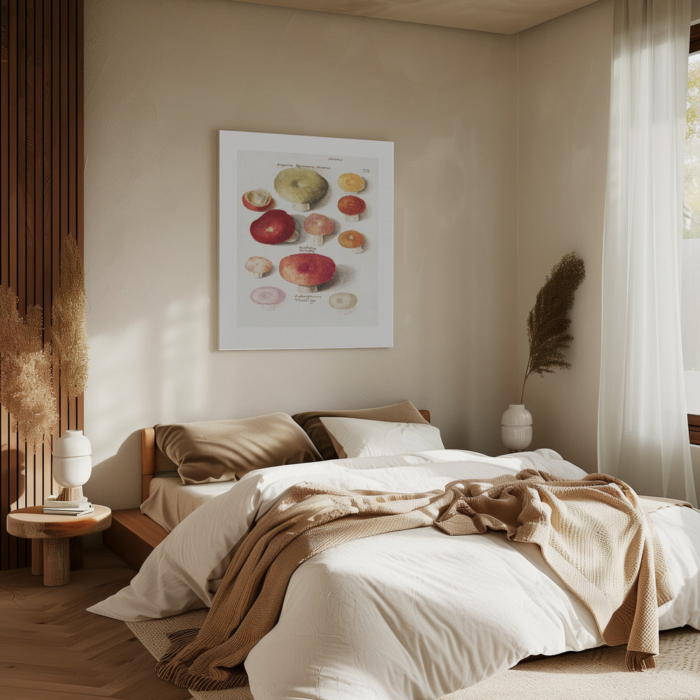 Boleten, Boletales stehend | Leinwand