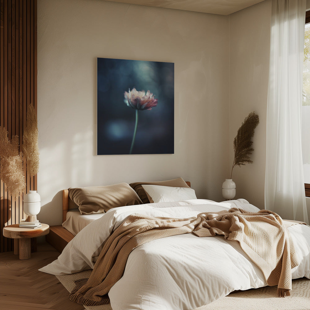 Dew-Kissed Blossom | Canvas