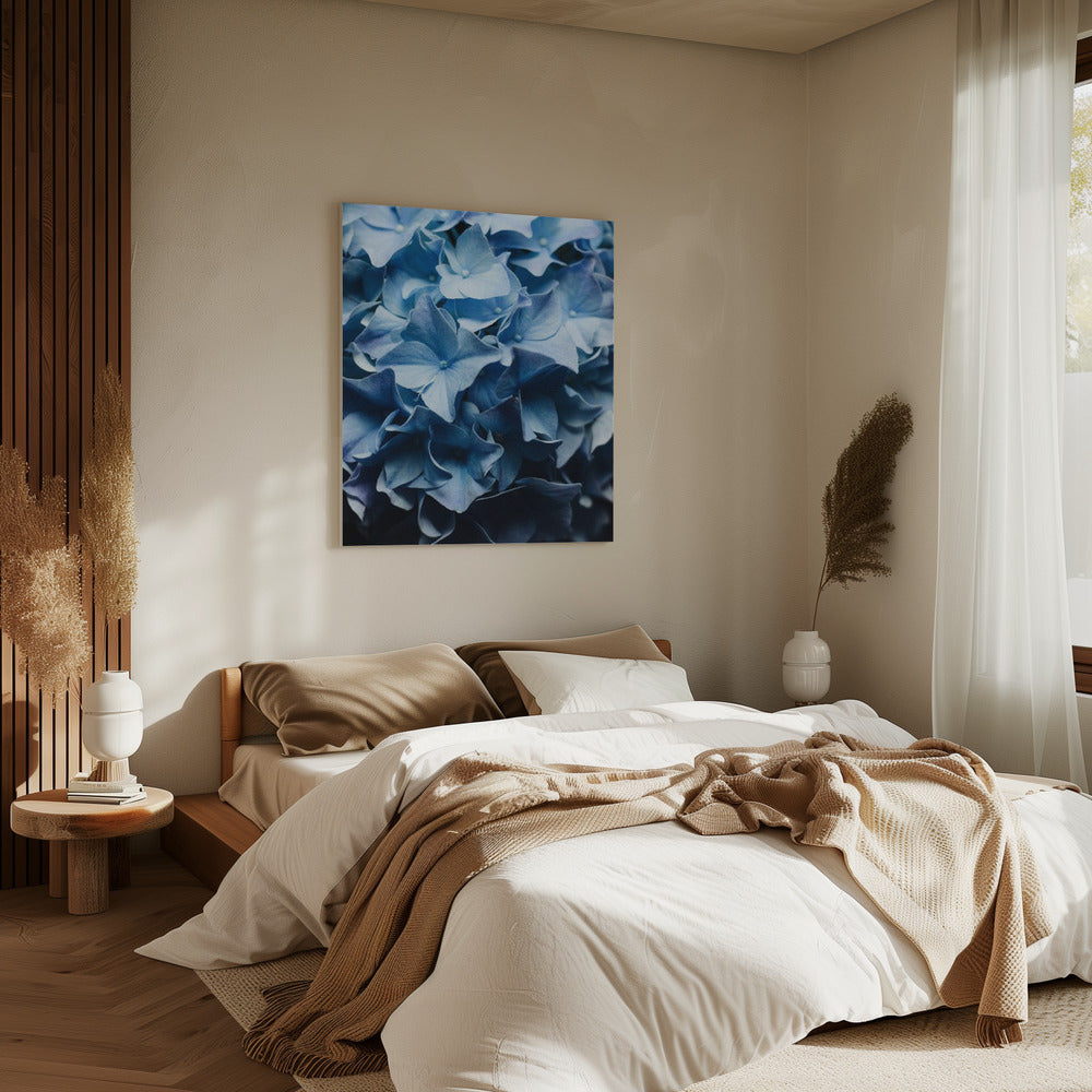 Hübscher Anblick Blaue Hortensie | Leinwand