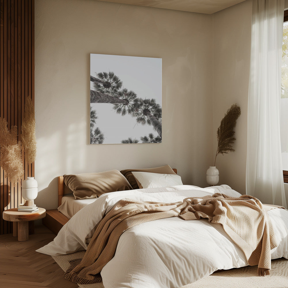 Skyward Palms | Canvas