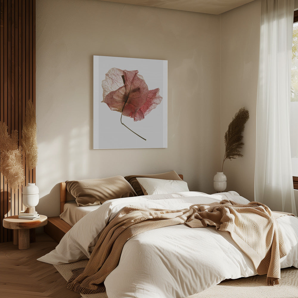 Delicate Petal Veins | Canvas