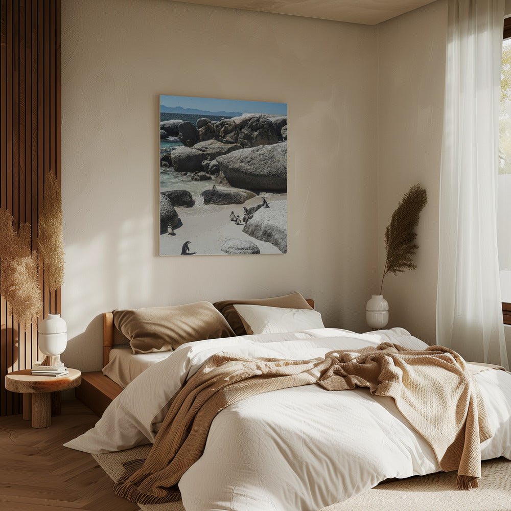 Penguin Cove Serenity | Canvas