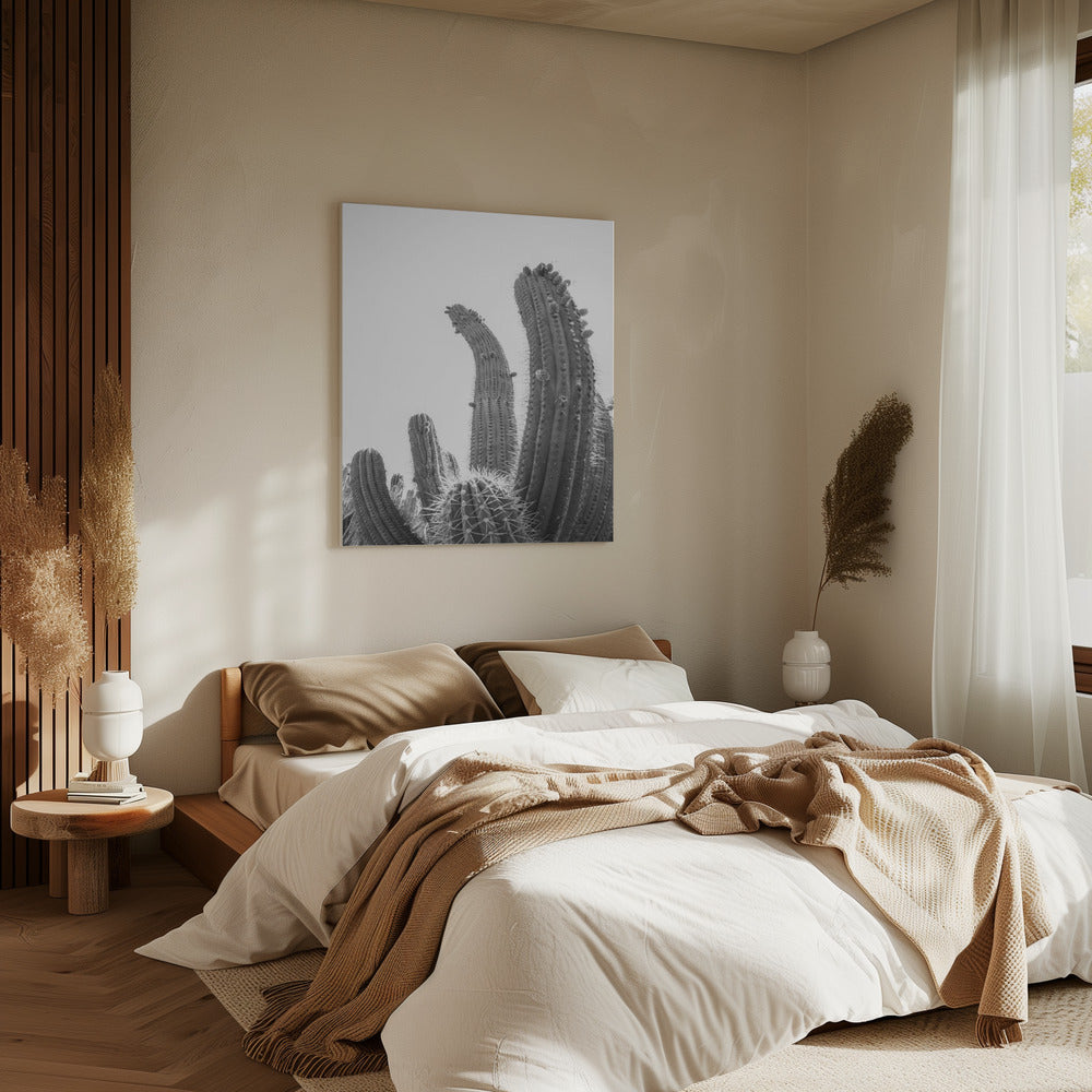 Desert Giants | Canvas