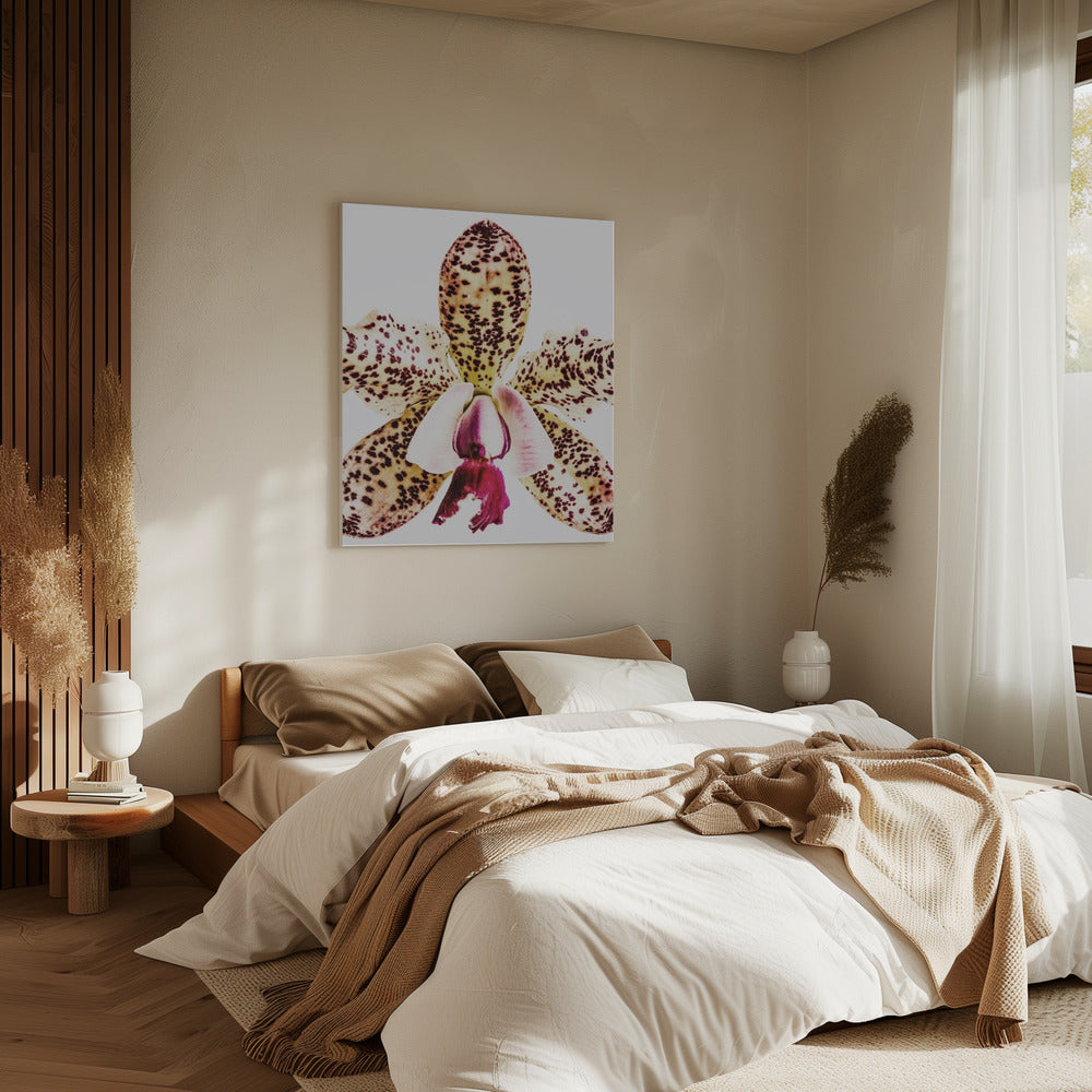Spotted Orchid Burst | Canvas