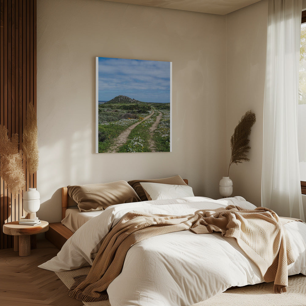 Pathway to Serenity | Canvas
