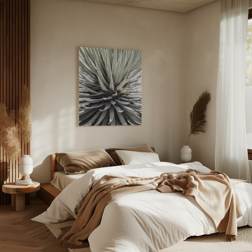 Spiky Serenity | Canvas