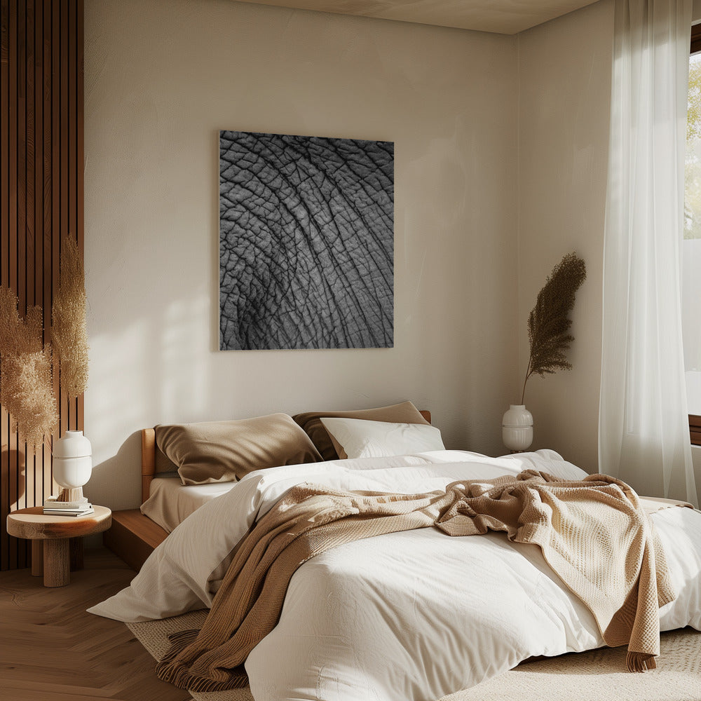 Elephant Texture | Canvas