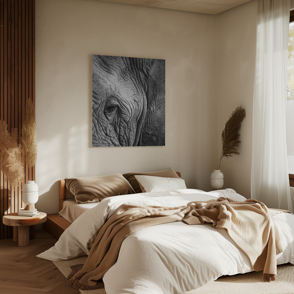 Wisdom's Wrinkles | Canvas
