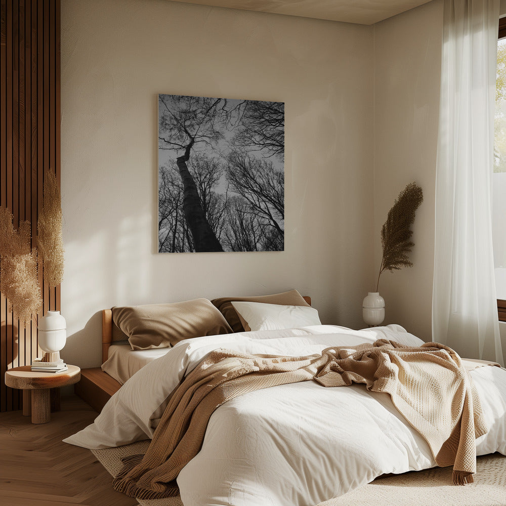 Winters Reichweite | Leinwand