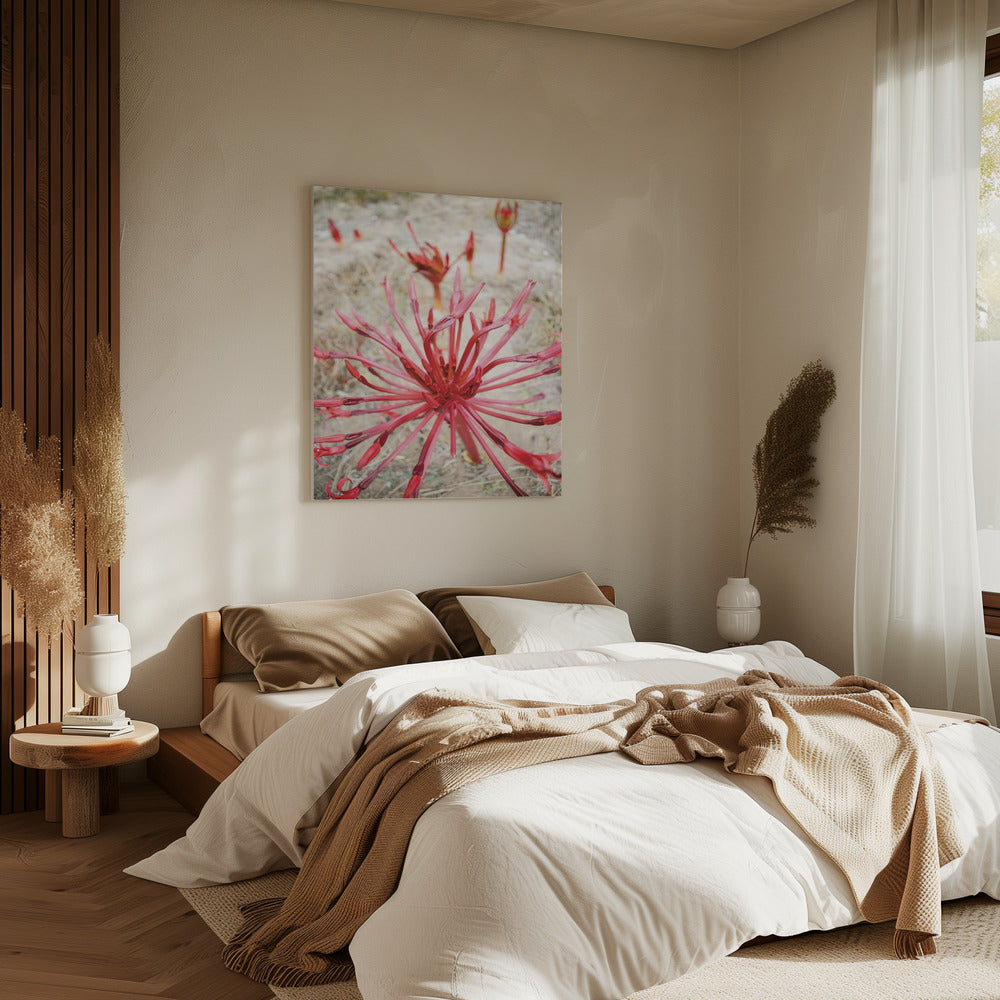 Crimson Spirals | Canvas