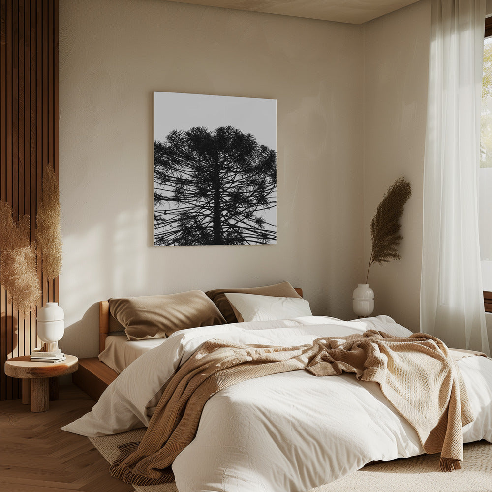 Silhouettensymmetrie | Leinwand