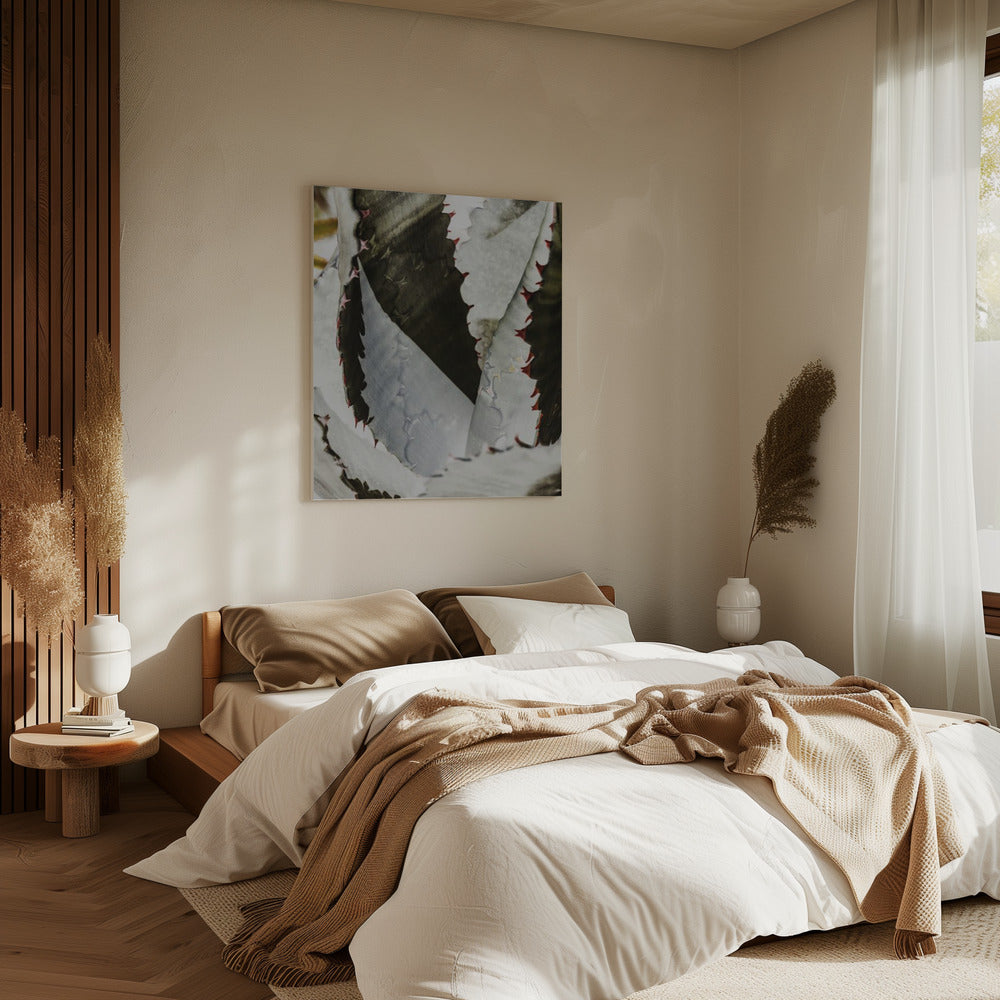 Desert Elegance | Canvas