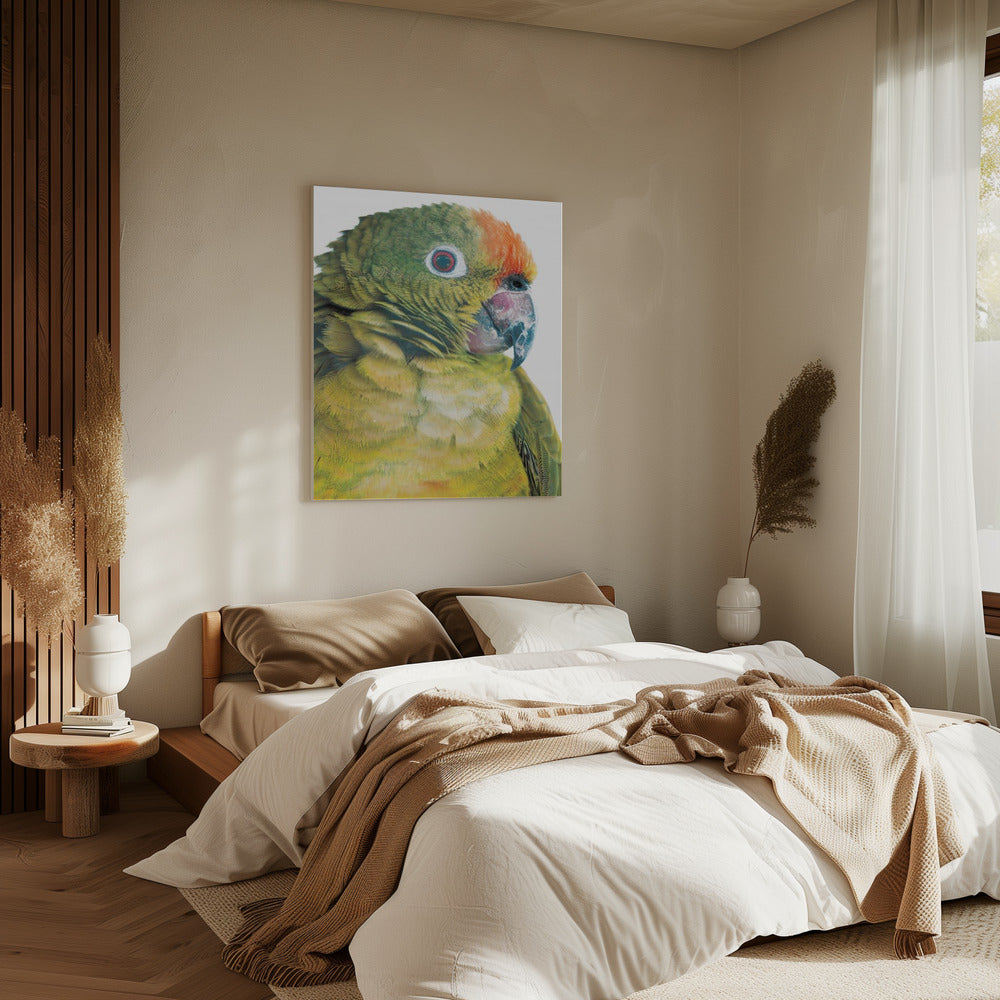 Lebendiger Papageienblick | Leinwand