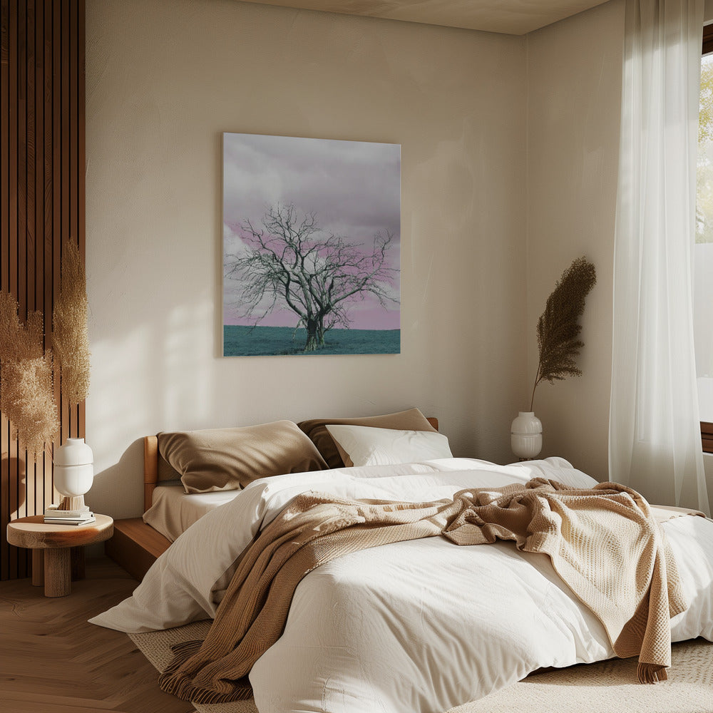 Unfruchtbarer Baum vor einem verträumten rosa Himmel | Leinwand