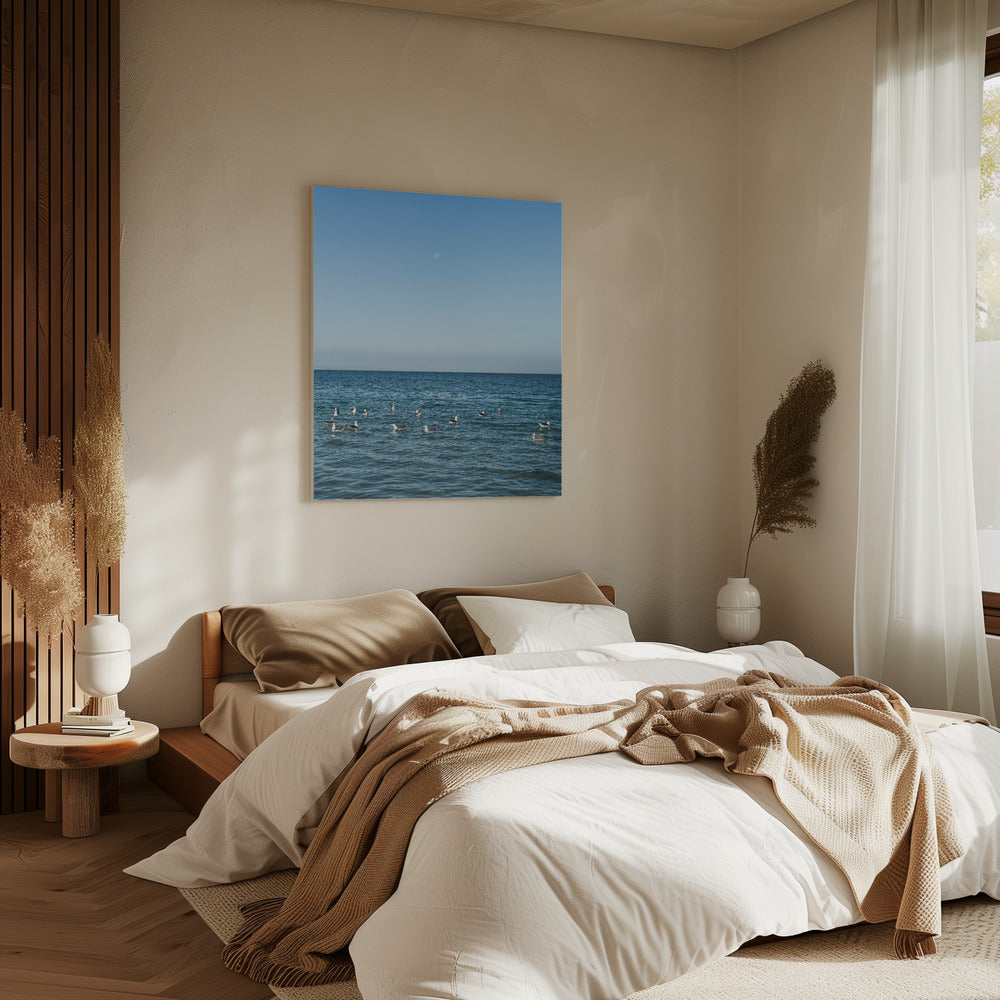 Seevögel im Mondschein | Leinwand